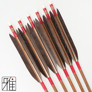 |  C[Xg J[{ 6{gH 8023Vtg:Ԍn yzR|X suizan񂫂イĂ yYA808208z