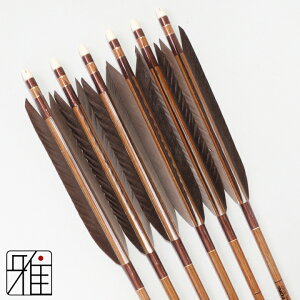 |  C[Xg J[{ 6{gH 8023Vtg:n yzR|X suizan񂫂イĂ yYA808210z