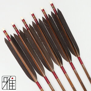 |  C[Xg J[{ 6{gH 8023Vtg:Ԍn yzR|X suizan񂫂イĂ yYA808215z