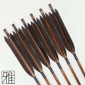 |  C[Xg J[{ 6{gH 8023Vtg:Dn yzR|X suizan񂫂イĂ yYA808218z