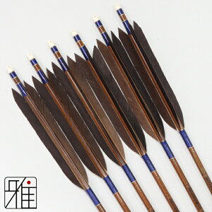 |  C[Xg J[{ 6{gH 8023Vtg:n yzR|X suizan񂫂イĂ yYA808219z