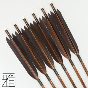 |  C[Xg J[{ 6{gH 8023Vtg:Όn yzR|X suizan񂫂イĂ yYA808220z