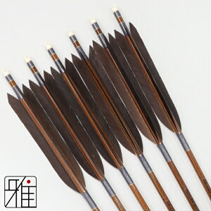 |  C[Xg J[{ 6{gH 8023Vtg:Dn yzR|X suizan񂫂イĂ yYA808221z