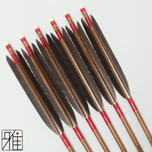 弓道 矢 カーボンの人気商品・通販・価格比較 - 価格.com