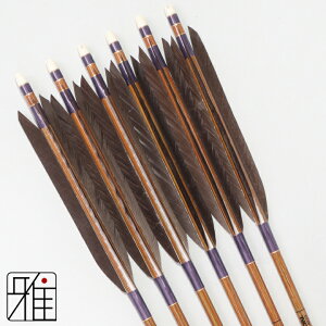 |  C[Xg J[{ 6{gH 8023Vtg:n yzR|X suizan񂫂イĂ yYA808212z