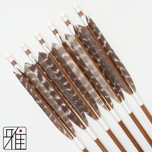 |  C[Xg J[{ 6{g^[L[VRgH 7620VtgFn yzR|X suizan񂫂イĂ yYA768100z