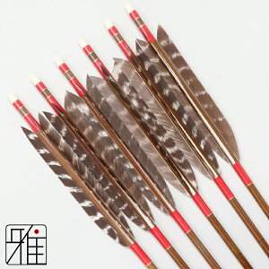 |  C[Xg J[{ 6{g^[L[VRgH 7620VtgFԌn yzR|X suizan񂫂イĂ yYA768103z