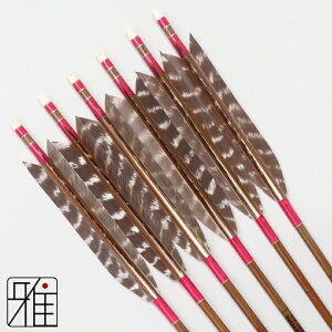 |  C[Xg J[{ 6{g^[L[VRgH 7620VtgFn yzR|X suizan񂫂イĂ yYA768105z