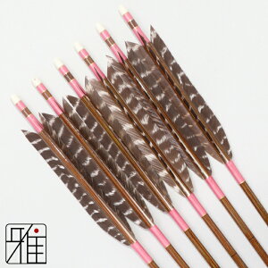 |  C[Xg J[{ 6{g^[L[VRgH 7620VtgFn yzR|X suizan񂫂イĂ yYA768115z