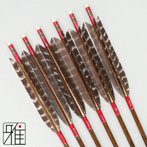 �|�� �� �C�[�X�g�� �J�[�{���� 6�{�g�^�[�L�[�g�����H 8023�V���t�g����:�Ԍn �y���������z���R�|��X suizan�������񂫂イ���Ă� �yYA808302�z