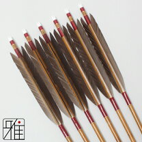 楽天市場】矢 6本の通販 