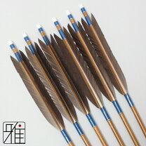 楽天市場】矢 6本の通販