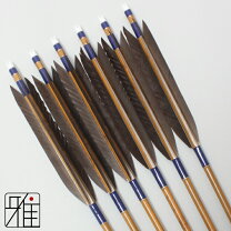 楽天市場】矢 6本の通販