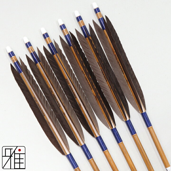 楽天市場】弓道 矢 ミズノ カーボン矢 6本組黒手羽 WENEW 80BCシャフト 