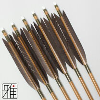 楽天市場】黒鷲 矢 カーボンの通販