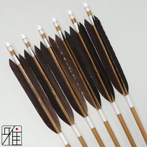弓道矢 カーボン」の人気商品一覧 | 安い商品を通販サイトから探す 