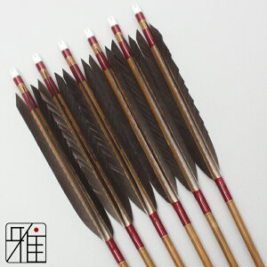 弓道 矢 ミズノ カーボン矢 6本組黒尾羽 WENEW 76BCシャフト矧糸:赤系 【送料無料】翠山弓具店 suizanすいざんきゅうぐてん 【YA76166】