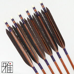 |  nuT J[{ 6{gH 8025VtgFn@yzR|X suizan񂫂イĂ yYA808404z