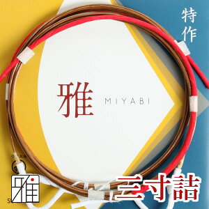 |   2{R|X - Ol 1y[։zR|X suizan񂫂イĂ y40226z