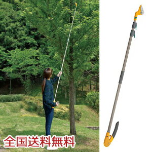 y|Cg20{z}V[Y rvbVJbg 3i } K[fjO |pi