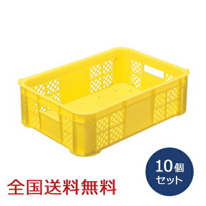 ̏WpRei 10Zbg ̏W Rei{bNX oXPbgn