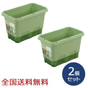 y|Cg10{z؉v^|650^(Rt) ƒ؉ ؉Rei ؍͔| 2Zbg