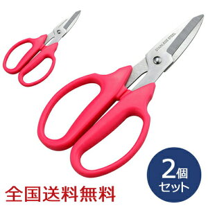 t[͂ A؂΂ | K[fjO 2Zbg