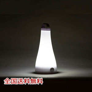 �y�|�C���g10�{�zCOB 3WAY LIGHT ���C�g �����^�� �����v �����d��
