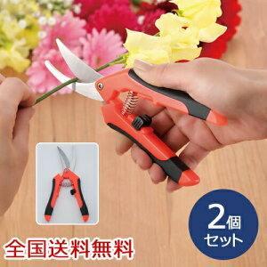 カーブ刃剪定鋏 女性用 生花用 剪定ばさみ 枝きり ガーデニング 園芸用品 盆栽 お得な2個セット