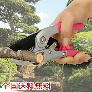 y|Cg10{zX[YnT~ 4i`Fbg } K[fjO |pi ~