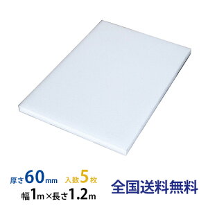 y|Cg10{zJSP ^t{[h(gbNp) 60mm×1,000mm×1,200mm ^t{[h 5Zbg