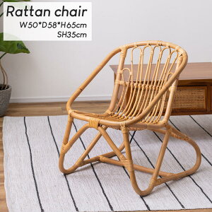 tA`FA ֎q 50cm ؐ VR ^  ^`FA ֎q tA `FA[ RpNg CX `FA rO`FA bNX`FA ܂肽 e[N ݑΖ r