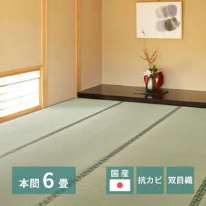 J[ybg V J[ybg ~ Y  { 6 286×382cm ڐD Jo[ RJr l  o[Vu Q O Jo[ hg1-amakusahon6