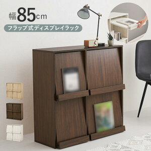 �t���b�v�� �f�B�X�v���C���b�N ���b�N ��85cm 2�i �I �I�[�v�����b�N �V���v�� ������� �i�`������ �u���E�� �z���C�g ���[�I ����I �I�[�v���I hg2-rcc-1716
