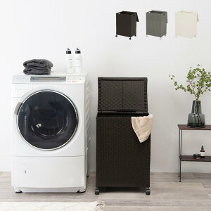 [{bNX ӂt |[ [ Lrlbg 50cm | ^  Vv ؖ Lv x_  uE i` O[ Ƌ ᔠ O 