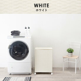 収納ボックス ふた付き 掃除道具収納庫 収納 キャビネット 幅50cm 掃除道具入れ ラタン調 おしゃれ シンプル 木目 キャンプ ベランダ 隙間 ブラウン ナチュラル グレー 家具 おもちゃ箱 屋外 庭 ランドリーhg2-rud-2422