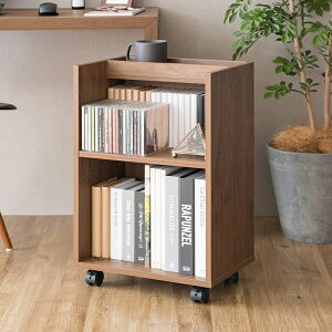 TChbN fXNTCh  fXN TCh I  [ fXN  [Ƌ Ƒ 傢u TChe[u S 50cm mt-dsr-001