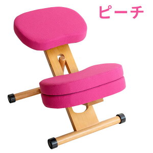 v|[V`FALbY LbY֎q CX ֎q `FA  fXN`FA ߋ@\ iK wK֎q ⏕NbV LX^[t RpNg 48.5cm mt-ch-889