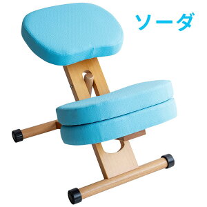 v|[V`FALbY LbY֎q CX ֎q `FA  fXN`FA ߋ@\ iK wK֎q ⏕NbV LX^[t RpNg 48.5cm mt-ch-889