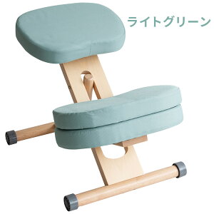 v|[V`FALbY LbY֎q CX ֎q `FA  fXN`FA ߋ@\ iK wK֎q ⏕NbV LX^[t RpNg 48.5cm mt-ch-889