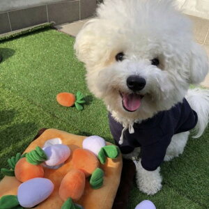 【おまけ付】にんじんノーズワーク ペット 犬 知育 ニンジン 大根 畑 ノーズワーク おもちゃ