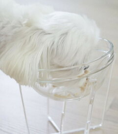 ペット（犬・猫用）　フードボール　クリアガラス・アクリルスタンド　クリアガラスボール　透明ボール　透明食器　　ペット用テーブル
