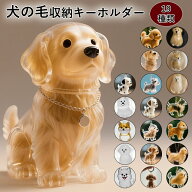 犬 毛 キーホルダー ペット 遺毛ケース メモリアルボトル 透明カプセル 愛犬 思い出 保存グッズ チャーム…