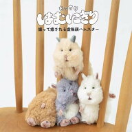 はむにぎり マスコット ハムスター にぎって癒される 虚無顔ハムスター ハムにぎり ぬいぐるみ 癒し かわ…