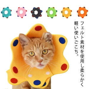 ybg L  GUxXJ[ y _炩 tFg ȒP LK ی C Em rߖh~