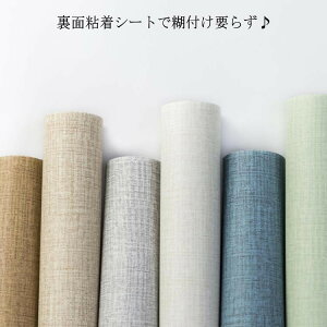 2^Cv 13F 3m×40 60cm ǎ V[ \Ă͂  Vv k Ebh DIY  Q  rO CeA SV[g Lb`