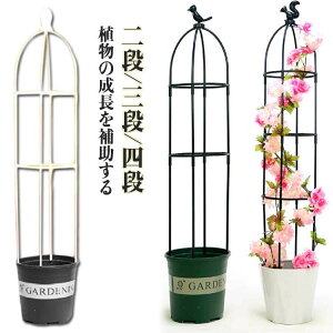 gX IxXN ߉\ ȒP  ȈՑg 鐫A  op K[f x Ԏx  |pi o KN IxXNA[` AT|[g U 