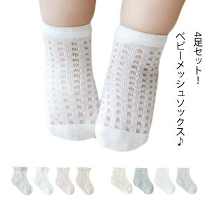 C 4Zbg xr[pi j̎q bV V[g\bNX ̎q  ʋC  Rbg \bNX V oYj v[g q 9cm-15c Ԃ xr[\bNX