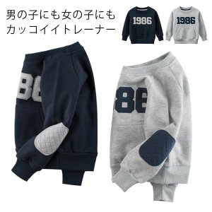 g[i[ xr[ ʉ gbvX ̎q xr[  LbY Rbg  tH~ j̎q v[g ʊw  JWA  Z킨 Mtg XEFbg ؍q