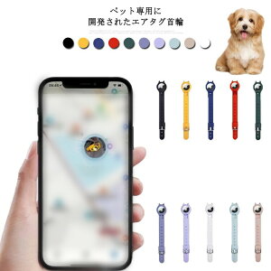 S10F ybg GA^O oh AirTag P[X ybgpAbvGA^OیP[X Apple Airtag Abv  GA^OJo[ GA^OP[X یJo[